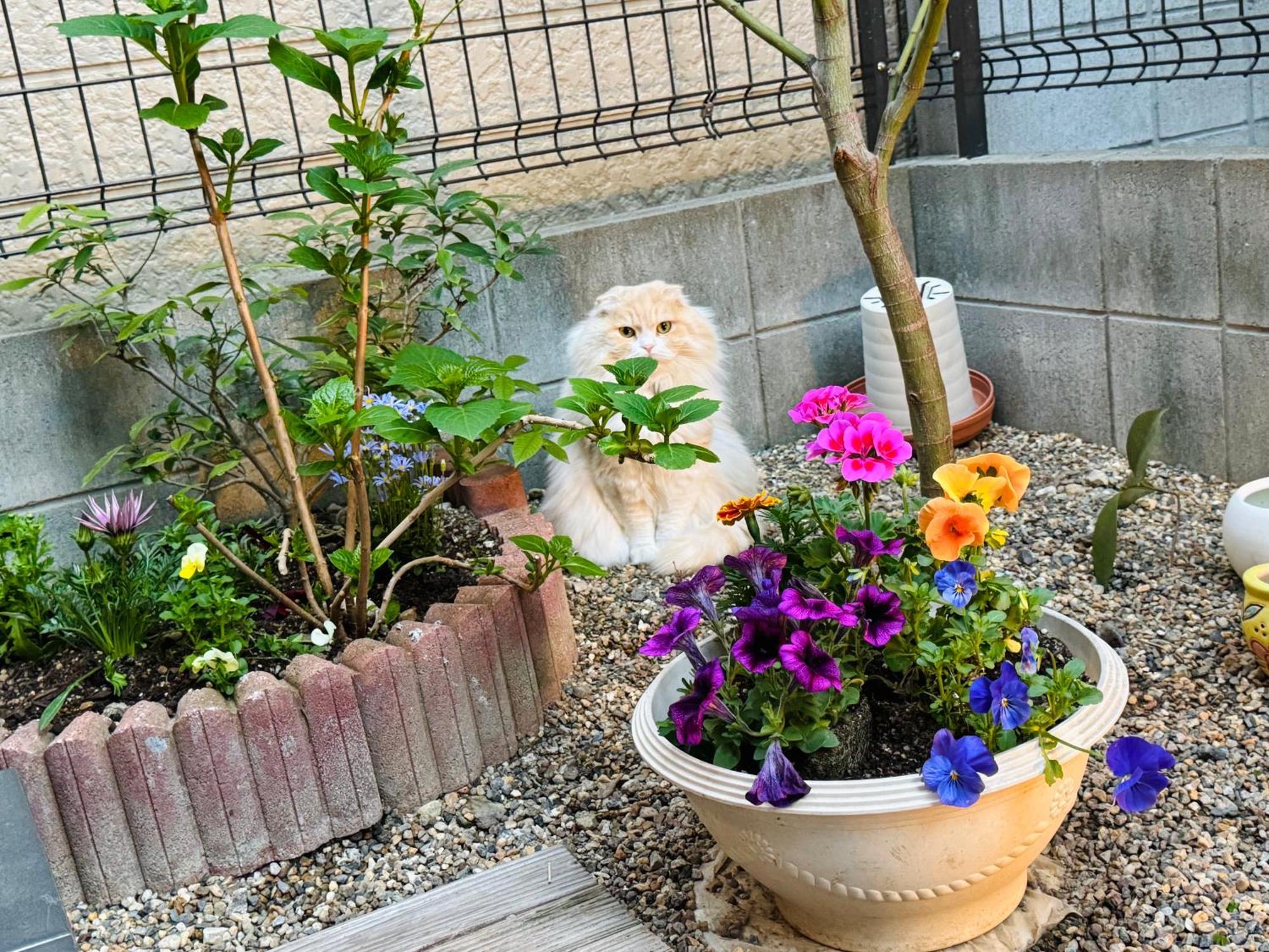 Hotel 遥華-Haruka House Kioto Exterior foto
